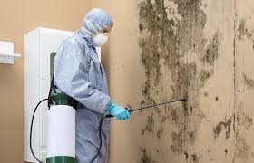 Best Water Damage & Mold Remediation  in Fort Valley, AZ